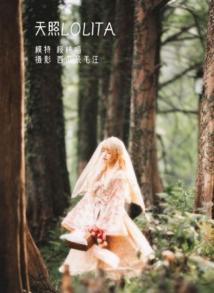 欧美日韩在线综合网_DVD动漫免费观看